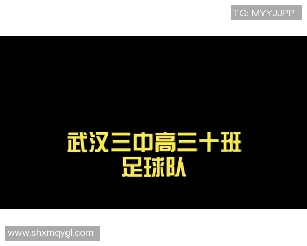 武汉足球队的节奏揭秘:激情与梦想交织的绿茵传奇 武汉足球队的节奏揭秘:激情与梦想交织的绿茵传奇