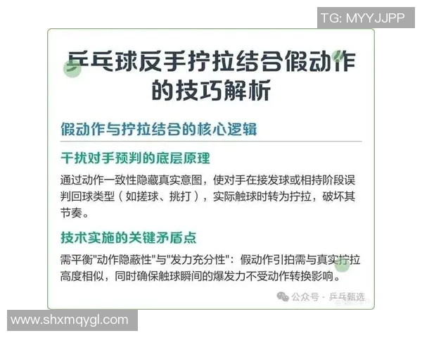 深入分析成都乒乓球队的阵地战战术与技巧解析 深入分析成都乒乓球队的阵地战战术与技巧解析