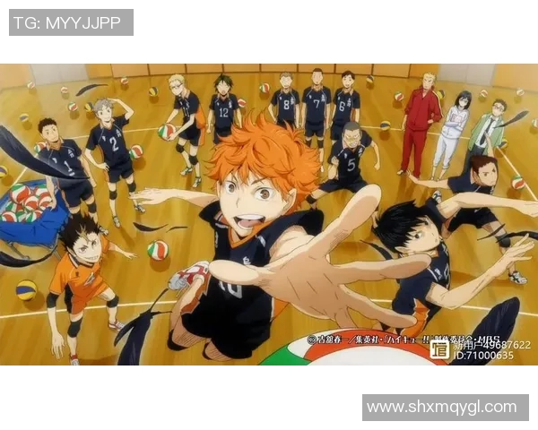 南京排球队的个人能力揭秘与排球技艺的深度探讨