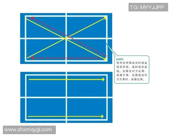 杭州乒乓球队转换打法深度分析与战术创新探讨