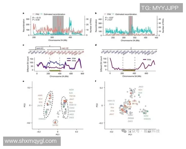 杭州攀岩队节奏表现数据分析揭示训练效果与比赛成绩的关系