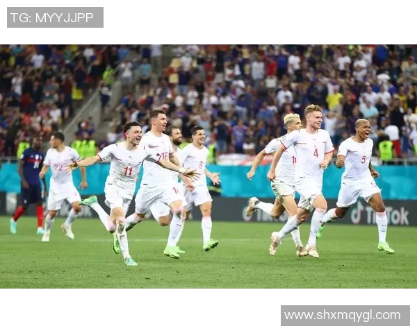 正宗足球的魅力与激情探秘全球足球文化的深厚底蕴与发展历程